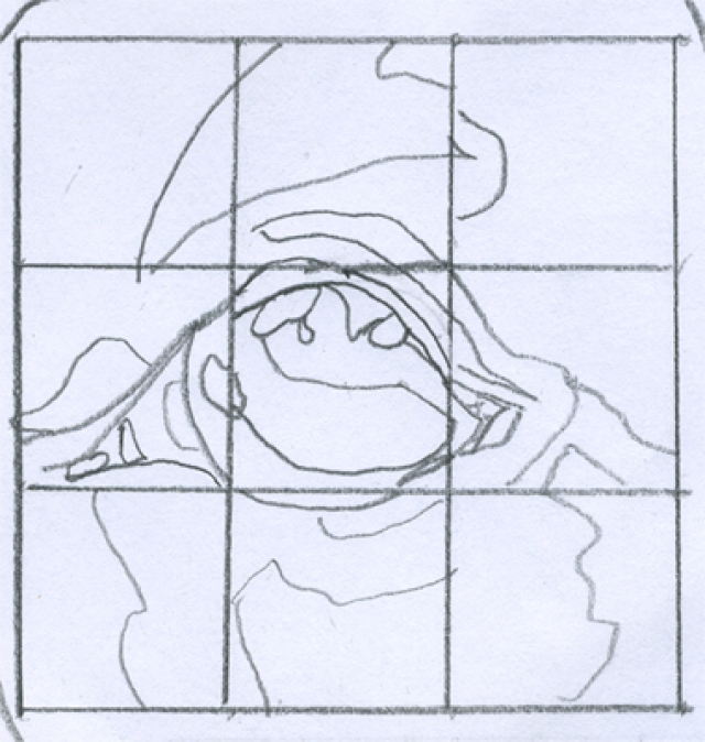 Eye 1
